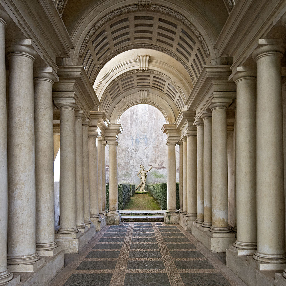 DP Plasis | Cornice | Ceiling centre | Panel mouldings | Dado and picture rail | Skirting | Corbels | Columns | Arches | Access Panels
